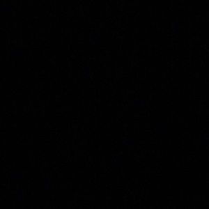 Meet your Posher, Bryce